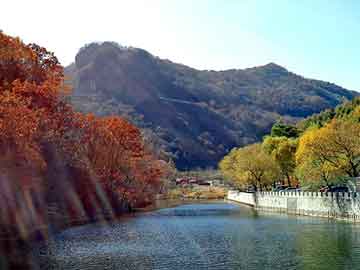 新澳天天开奖资料大全旅游团，大唐小说